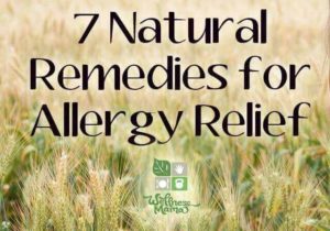 7 Natural Remedies for Allergy Relief