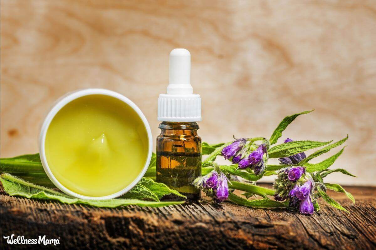 Comfrey Leaf Uses and Benefits