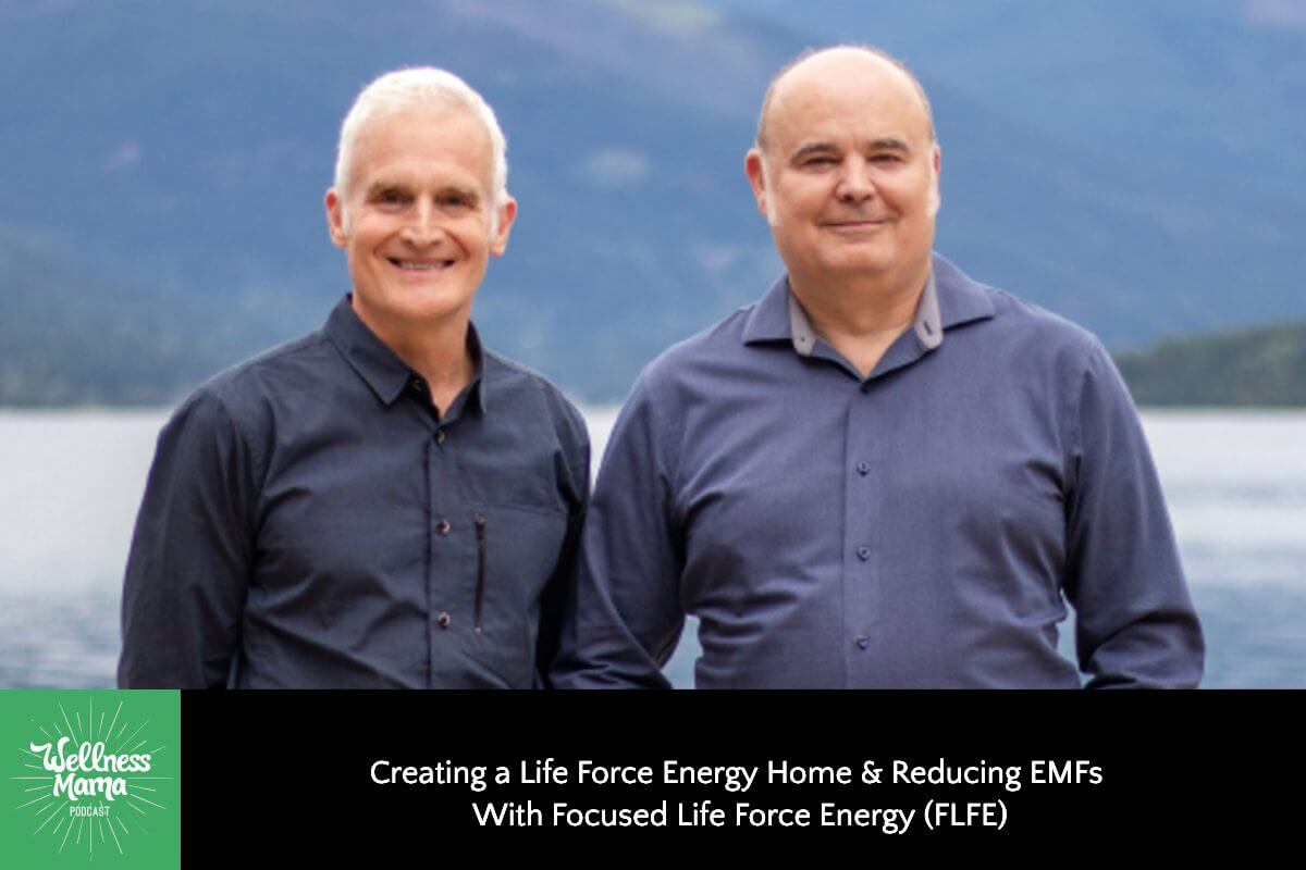 Creating a Life Force Energy Home & Reducing EMFs with Focused Life Force Energy (FLFE)