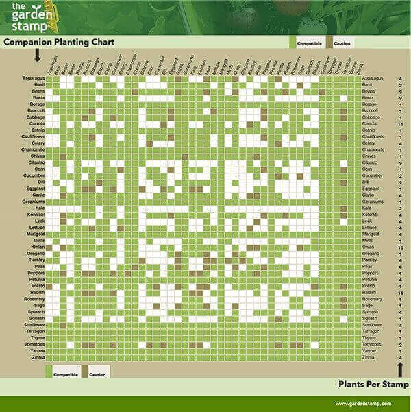 Gudie to companion planting