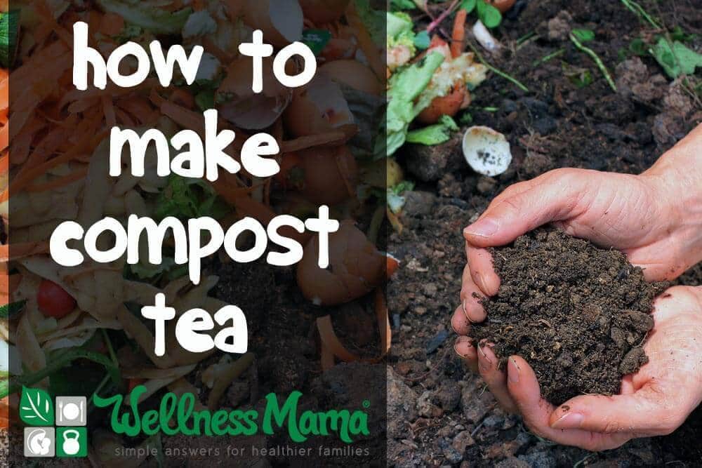 How to Make Compost Tea