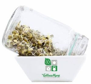 How to grow sprouts at home