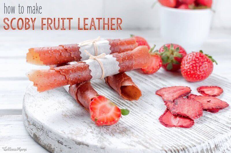 homemade kombucha fruit roll ups