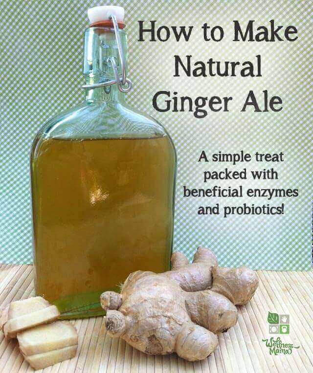 How to make natural ginger ale- a healthy and delicious treat full of probiotics and enzymes