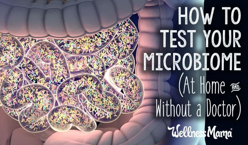 How to test your microbiome at home without a doctor