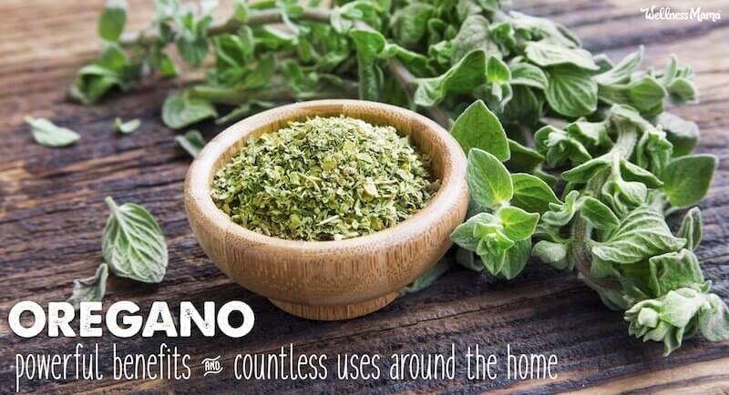 is oregano good for you