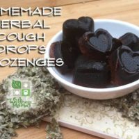 Recipe for Homemade Herbal Cough Drops or Lozenges with Herbs and Honey