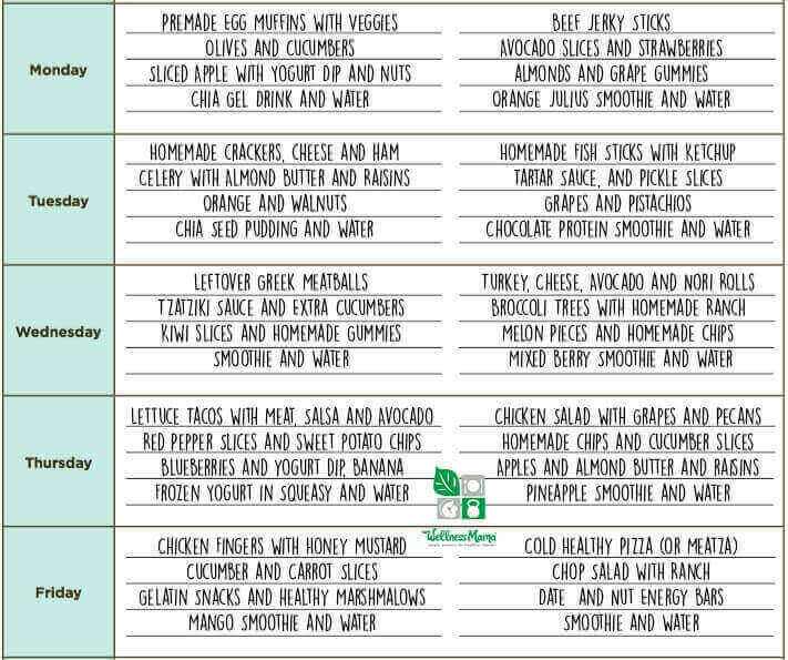 Wellness Mama Healthy School Lunch Ideas and Menu