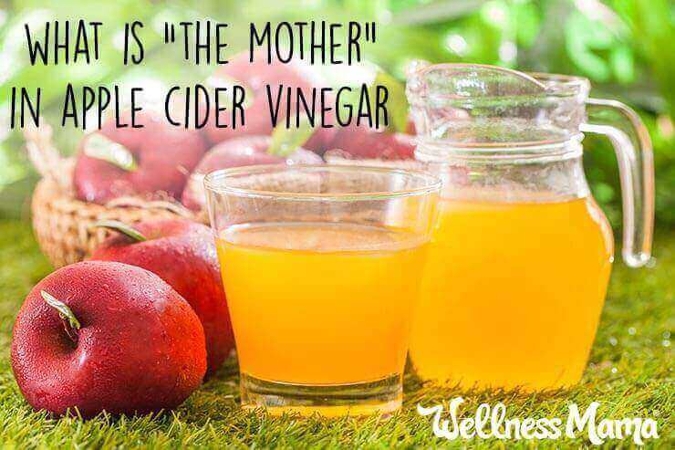What is the mother in apple cider vinegar