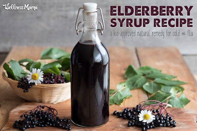 Elderberry Syrup Recipe