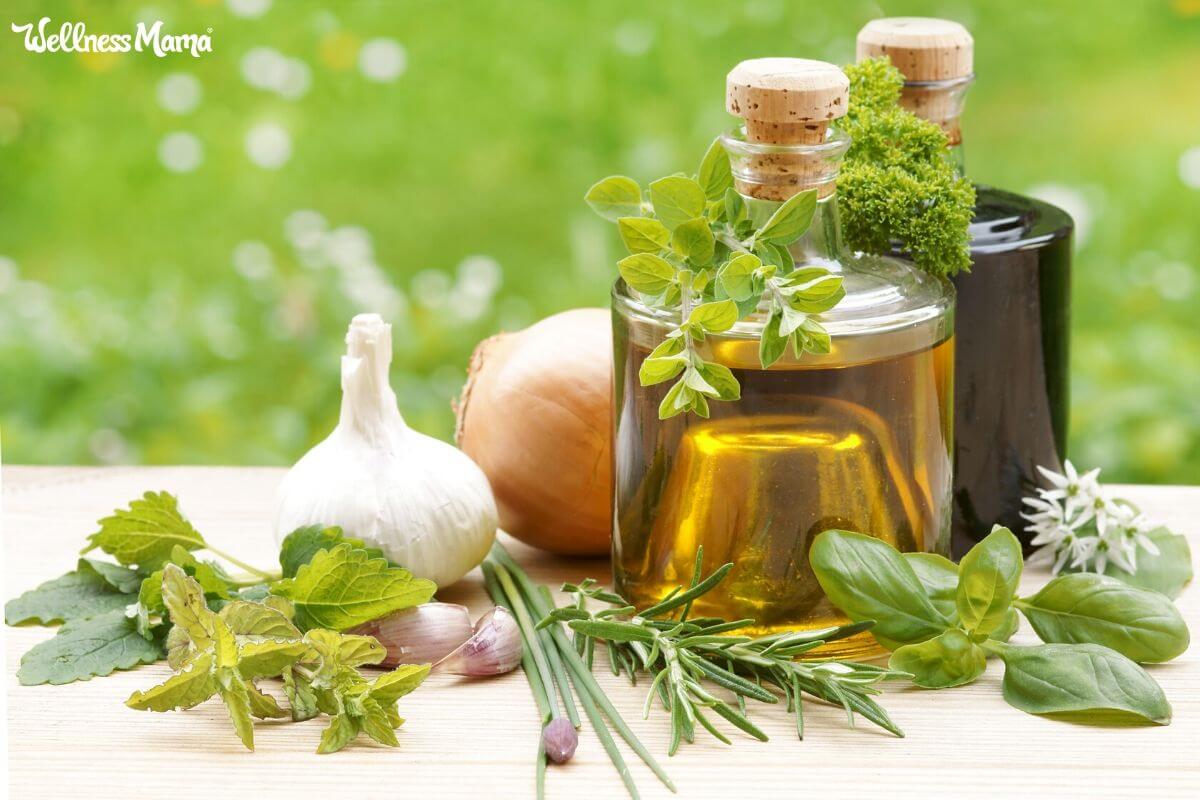 four thieves vinegar tincture